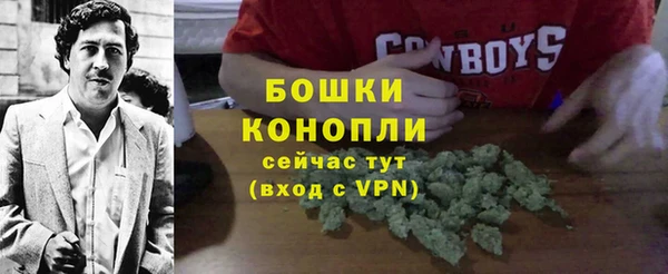 ГАЛЛЮЦИНОГЕННЫЕ ГРИБЫ Баксан