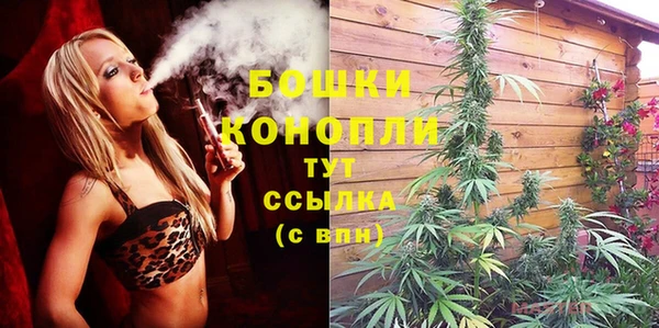 гидра Семилуки