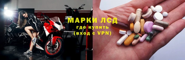 ГАЛЛЮЦИНОГЕННЫЕ ГРИБЫ Баксан