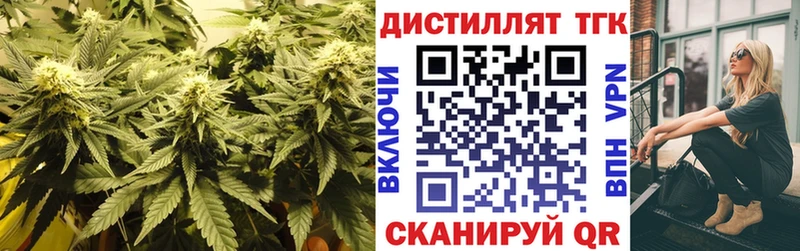 площадка состав  Няндома  ТГК THC oil 