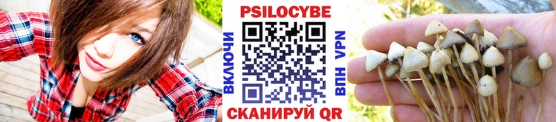 Псилоцибиновые грибы мицелий Няндома