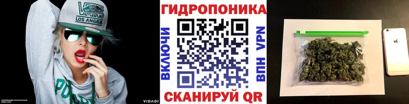 OMG как войти Няндома Конопля семена